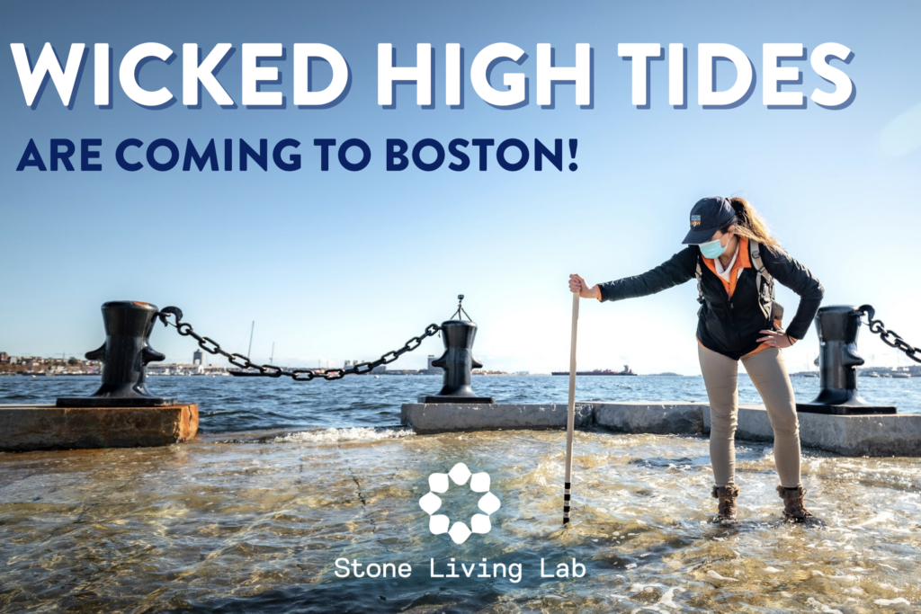 Wicked High Tide Boston Harbor Islands